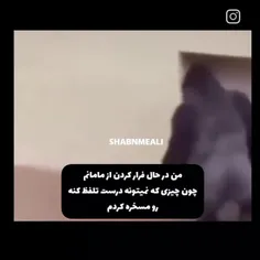 خو چرا عصبانی میشی!🤦‍♀️