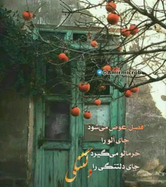 جهانم باش