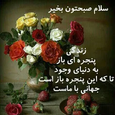 صب همه ی دوستان گل بخیر 