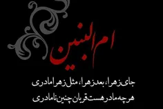 جای زهرا، بعد زهرا، مثل #زهرا مادری!