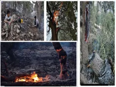 وقوع آتش سوزی جنگل های زاگرس - ایلام