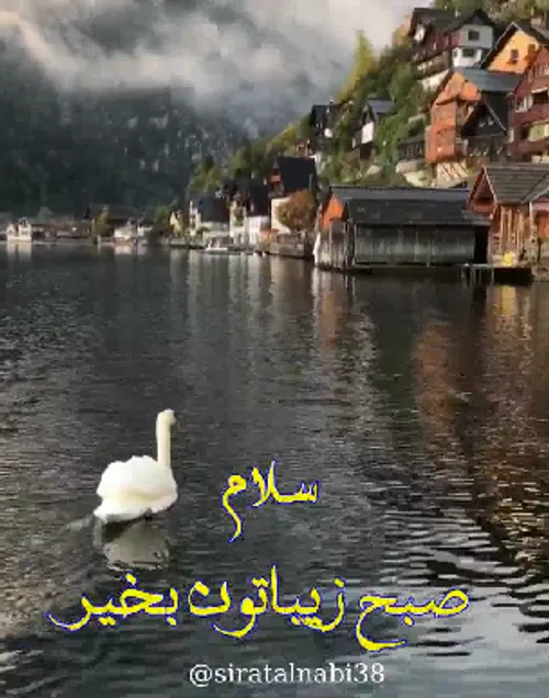 🕊 سلام صبحتون بخیر