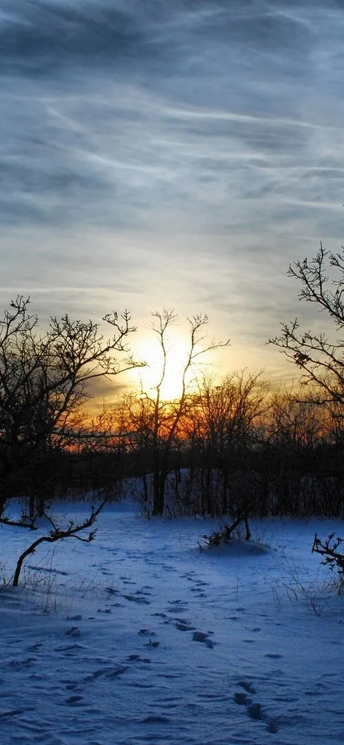 زیبایی