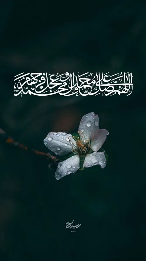 ذکر صلوات امروز🤍🍃