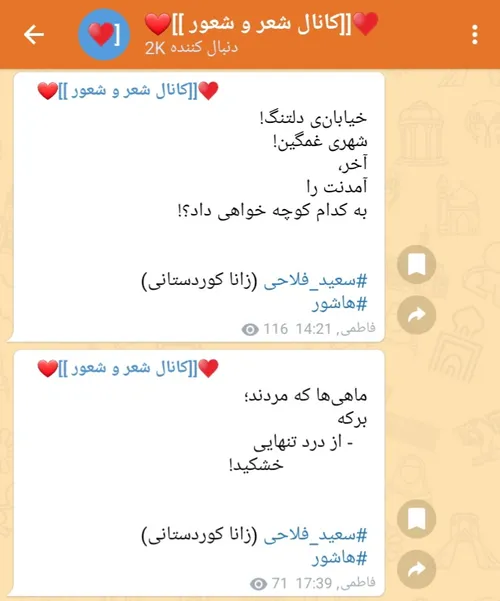 سعید فلاحی (زانا کوردستانی)