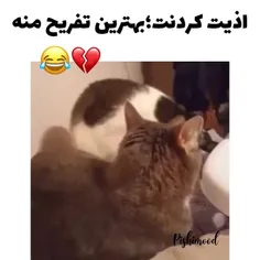 کرم درون😂😂