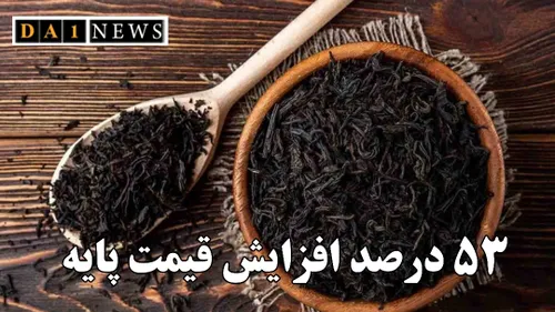 حبیب جهانساز خبر داد: افزایش ۵۲ درصدی قیمت خرید تضمینی چا