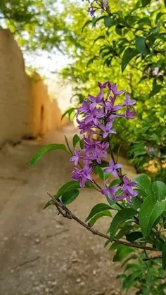 به سوی تو دویدم