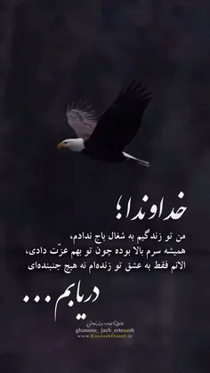 nazaninakef608 70396036