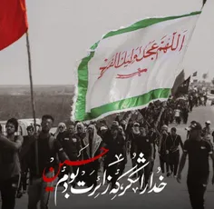 شکر خدا که زائر حسین بودم