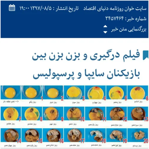 صدور حکم لگد زدن وریا به بطری آب: یک هفته ای