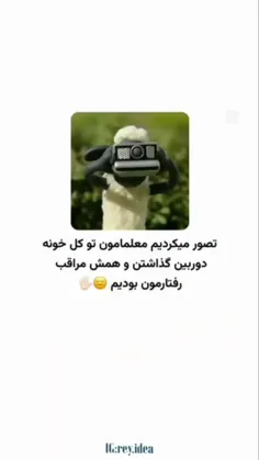 همشون درست بود 😂