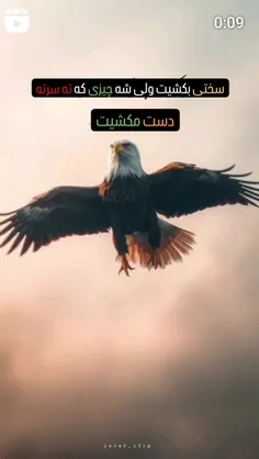 فالو کنید کلیپ ها بعدی قشنگ تر جذاب تری کامنت مرسی 😊🌹❤️