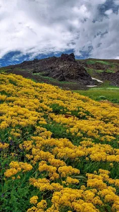 #ایران_زیبا🇮🇷