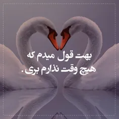 عاشقانه ها hosseinabbasi1 28257581