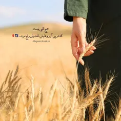 همه ی طوفان ها برای مختل کردن زندگی شما نیستند برخی می آی