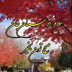 زندگی اصلا پیچیده نیست،