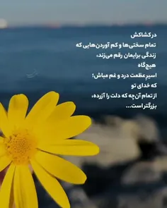 بی‌دغدغه‌ترین حال دنیا را برای آدمها آرزو می‌کنم!