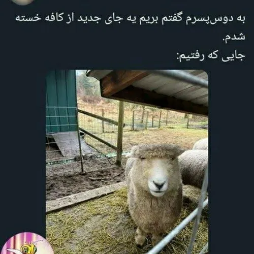 جای قشنگیه که😂