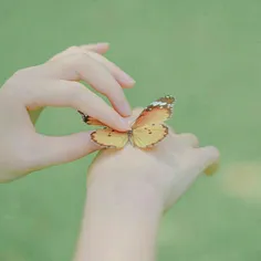 پروانه پروازم نیست...👌❤🍀



