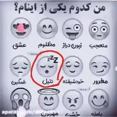 از نظرم اینو خواستم 😂😂