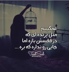 #عاشقانه 