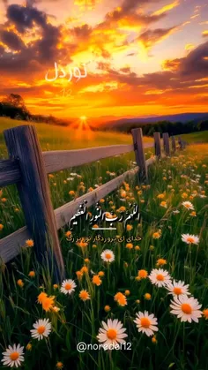 ✨ تفسیر دعای عهد