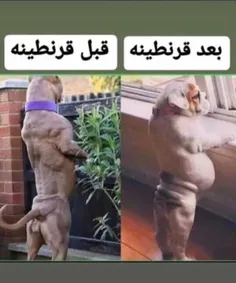 #طنز