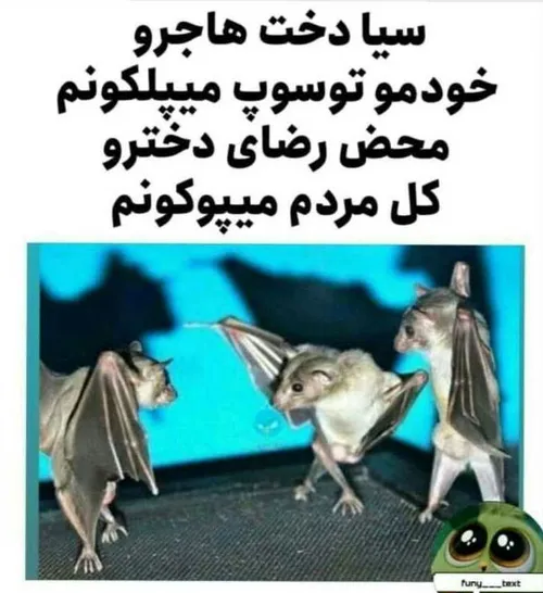 😒 😧 😂 جوونز باو