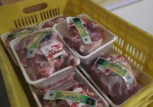 گوشت قربانی ۲۵ رأس گوسفند بین 600 خانواده نیازمند استان ک