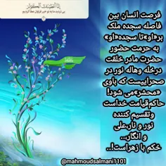 حاکم محشرخداتقسیم کننده علی وحکم بازهراست..