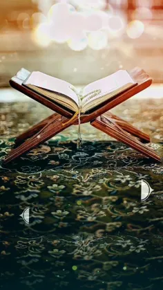 🔴 لازم نیست در پی دیدن امام زمان باشیم