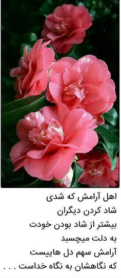 عاشقانه ها hosseinnaseri1300 18754526