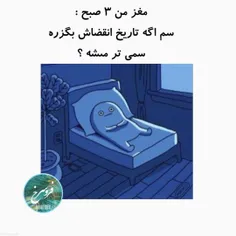 مغز من ساعت ۳ صبح