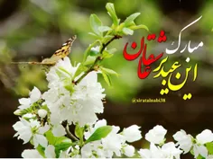 🕊🌹عید است و جهان روضۀ رضوان حسین است