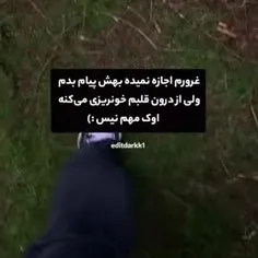 {مهم نیس} بیشترین جمله ایه ک به کار گرفتم🖤