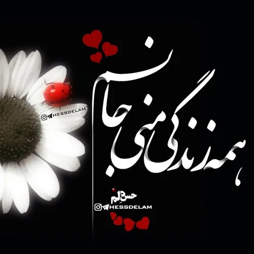 عاشقانه ها z.m.m 24142346 - عکس ویسگون