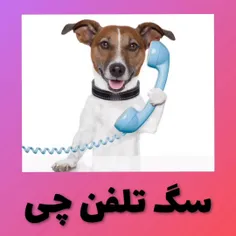 یعنی با کی داره حرف میزنم😂😂😂😂