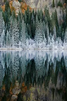 بی تو دنیای مرا بدجور غم برداشته