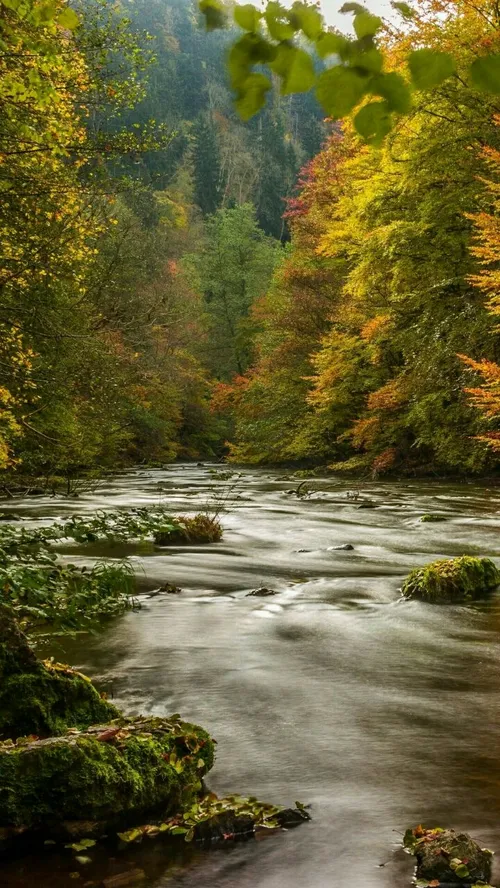 طبیعت زیبا!