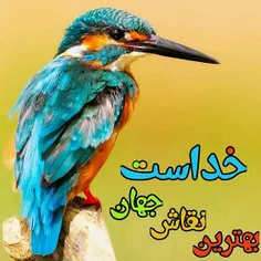 گوناگون مسلم 26665441