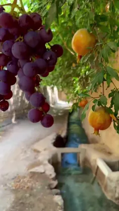 اونجا که سهراب سپهری میگه: