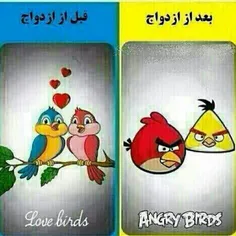 البته نه برای همه