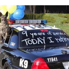 تو امریکا یه سگ پلیس بعد از اینکه بازنشسته اش کردن طبق تص