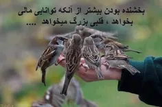 گروه بصیرت 