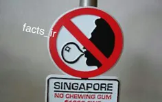 جویدن ادامس در سنگاپور ممنوع است