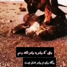 تا بگی ت؟🙂