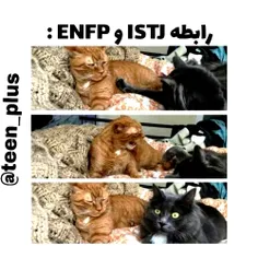 ENFP ها علام حضور کنن🤣