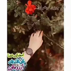 روزتون‌ بخیر💜