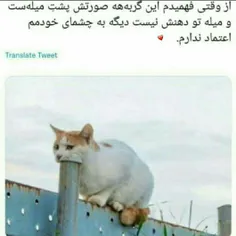 باورتون میشهههه یا خدا😂